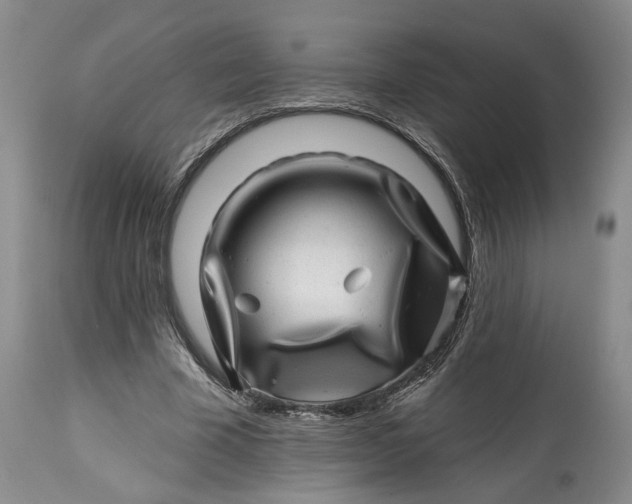 X0000114200585200910231345