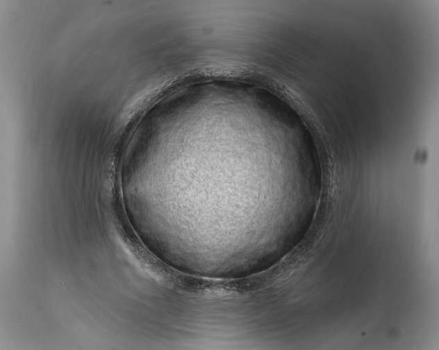 X0000114200586200910231345