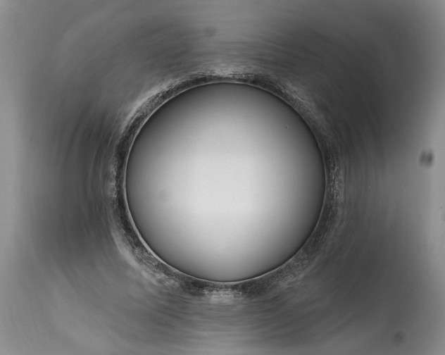 X0000114200587200910231345