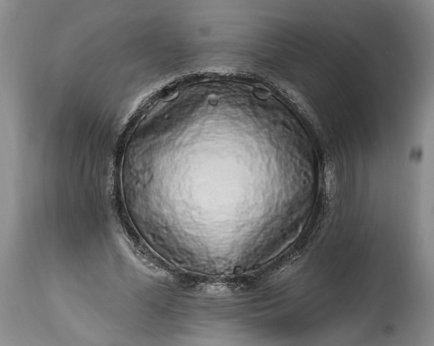 X0000114200588200910231345