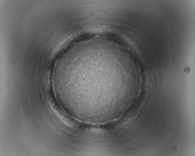 X0000114200590200910231345