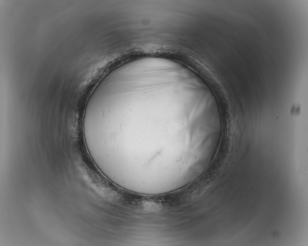 X0000114200592200910231345