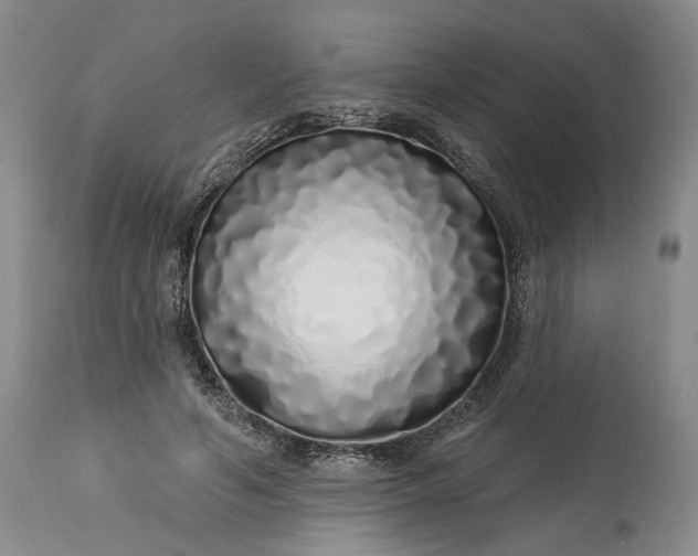 X0000114200594200910231345