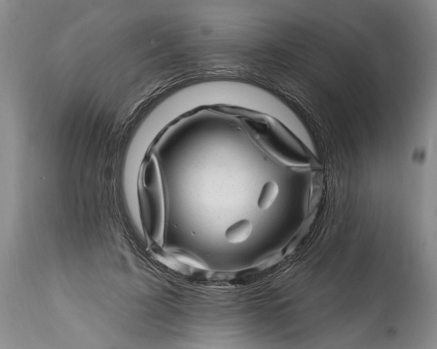 X0000114200595200910231345