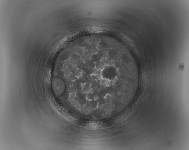 X0000114200596200910231345