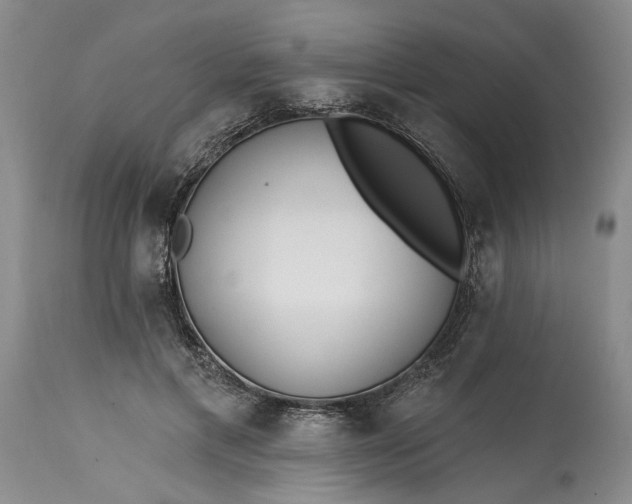 X0000114200597200910231345