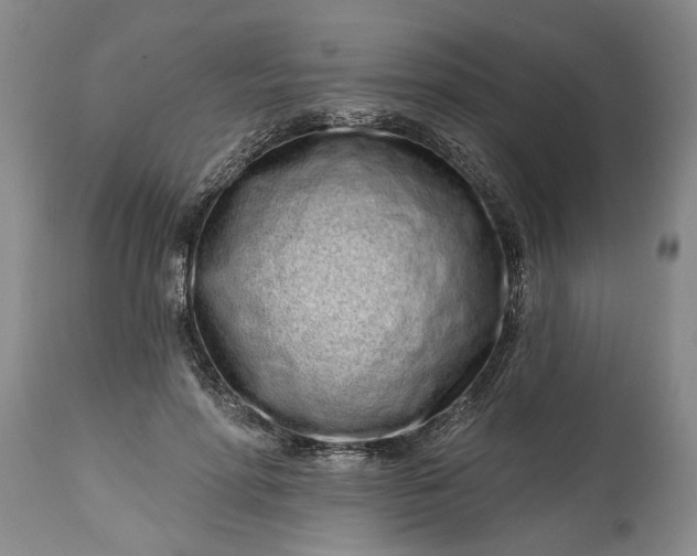 X0000114200598200910231345