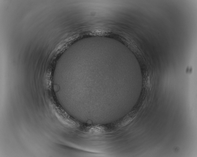 X0000114200599200910231345