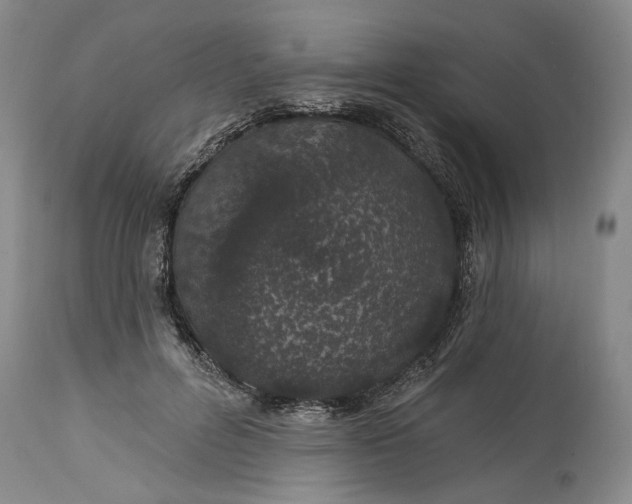 X0000114200600200910231345