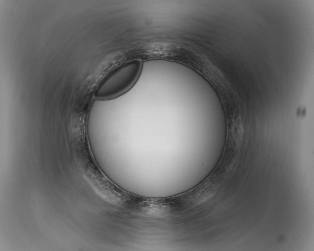 X0000114200601200910231345