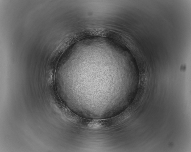 X0000114200602200910231345