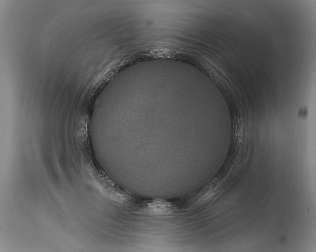 X0000114200603200910231345