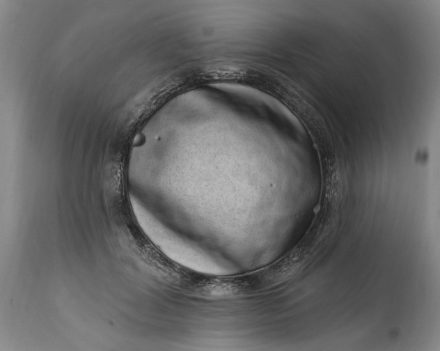 X0000114200604200910231345