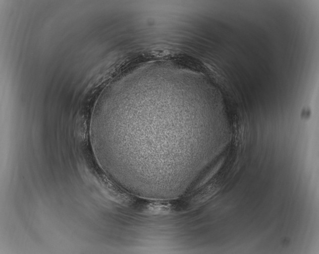 X0000114200606200910231345