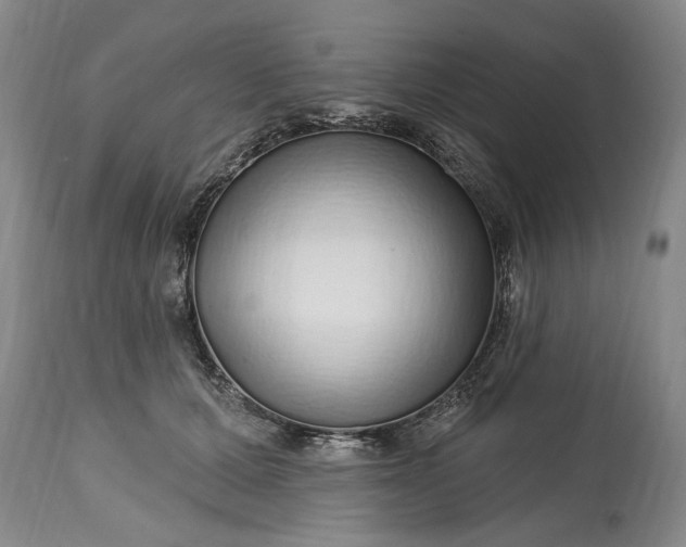 X0000114200607200910231345