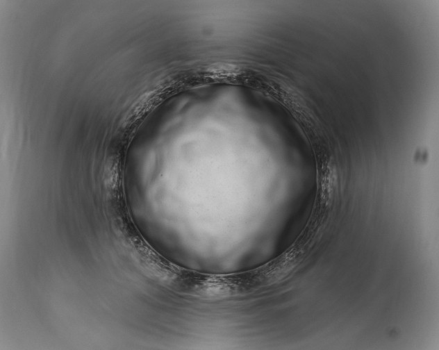 X0000114200608200910231345