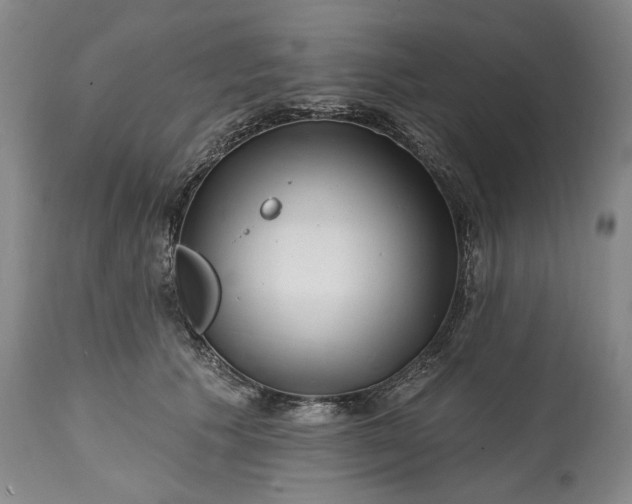 X0000114200609200910231345