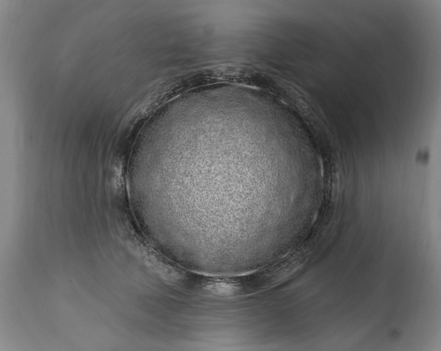 X0000114200610200910231345