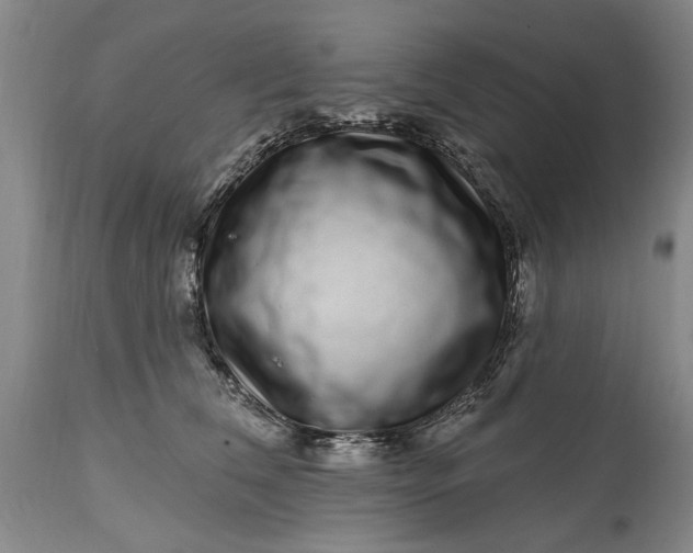 X0000114200612200910231345