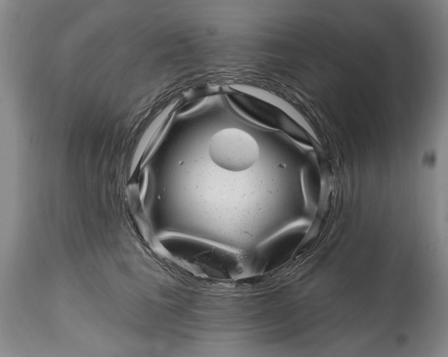 X0000114200613200910231345