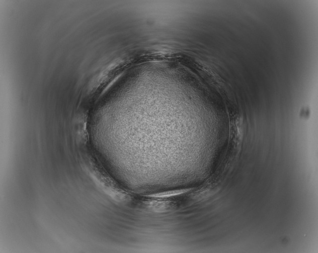 X0000114200615200910231345