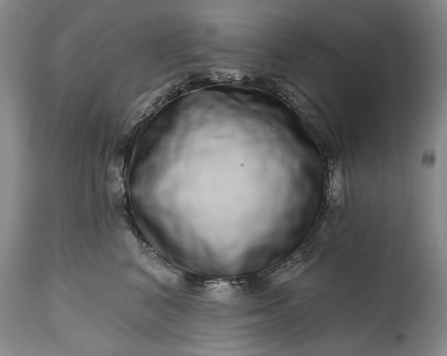 X0000114200616200910231345