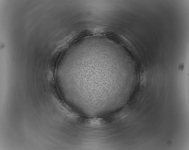 X0000114200618200910231345