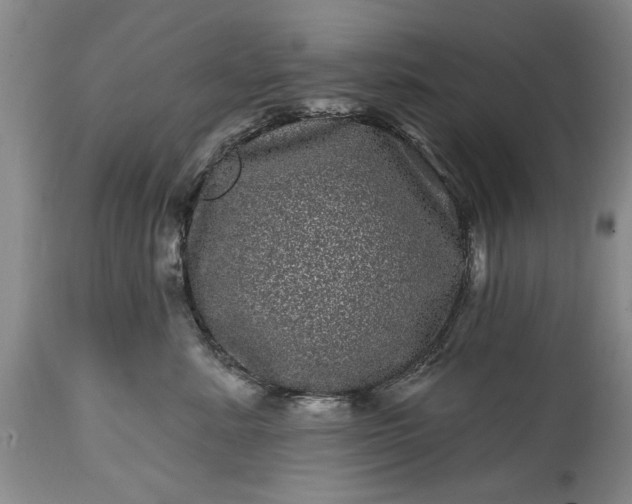 X0000114200619200910231345