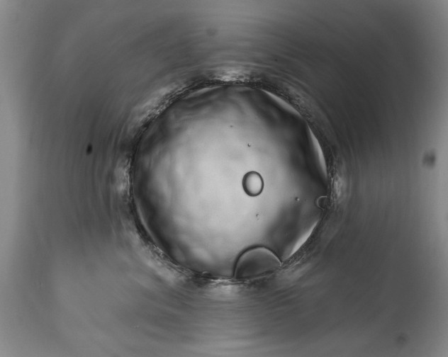 X0000114200620200910231345