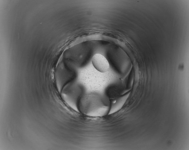 X0000114200621200910231345