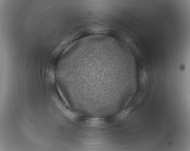 X0000114200622200910231345