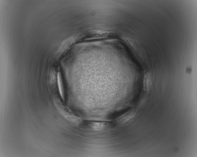 X0000114200623200910231345