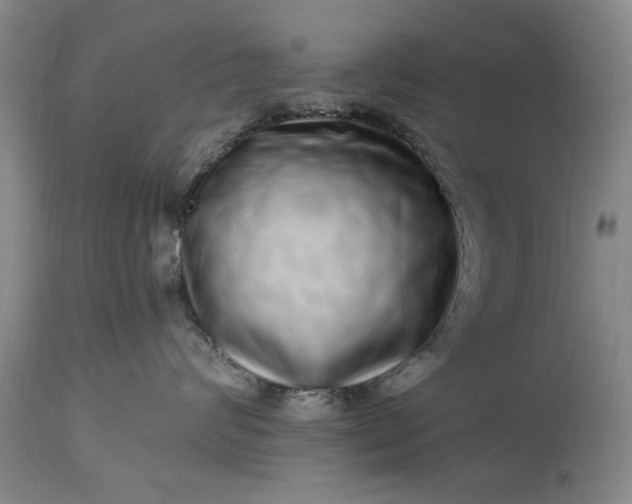 X0000114200624200910231345