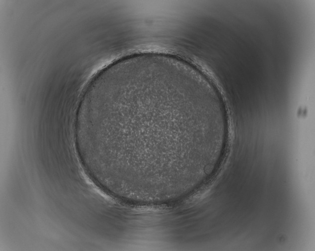 X0000114200625200910231344