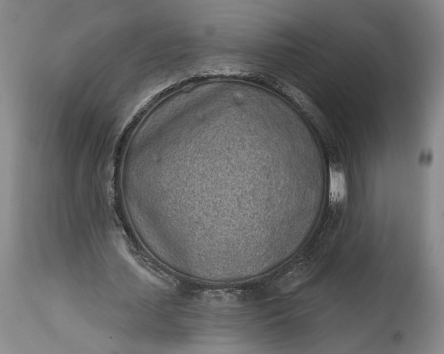 X0000114200627200910231344