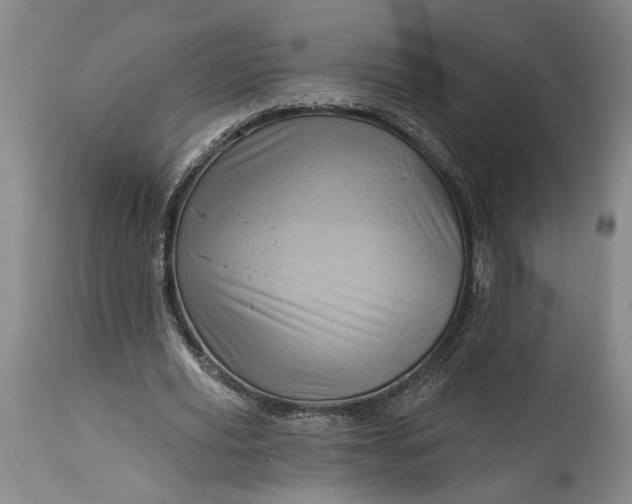 X0000114200629200910231344