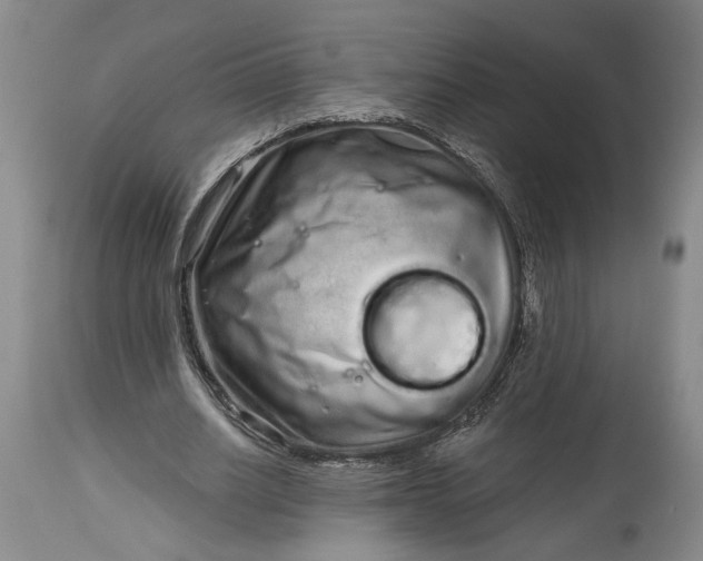 X0000114200630200910231344