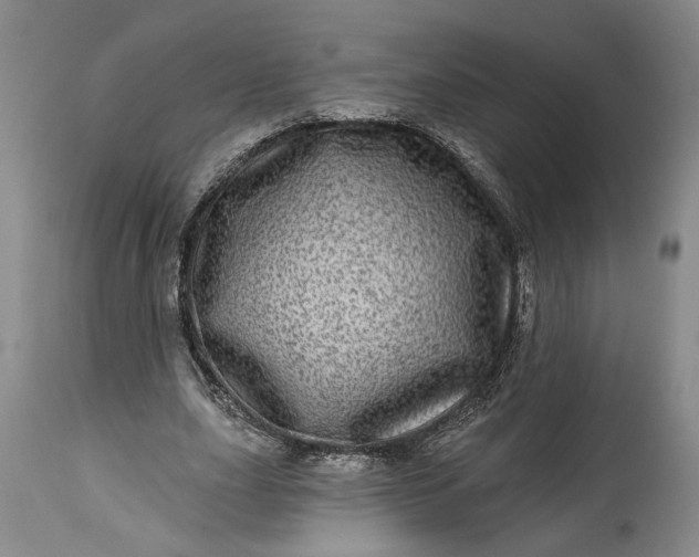 X0000114200631200910231344