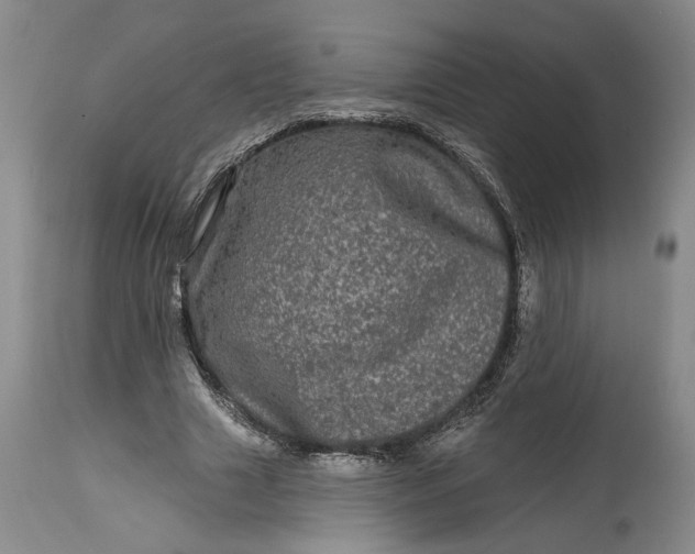 X0000114200633200910231344