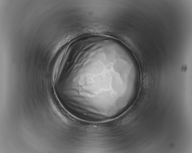 X0000114200634200910231344