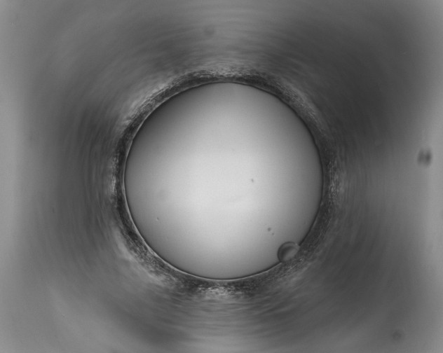 X0000114200635200910231344