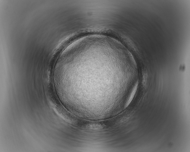 X0000114200636200910231344