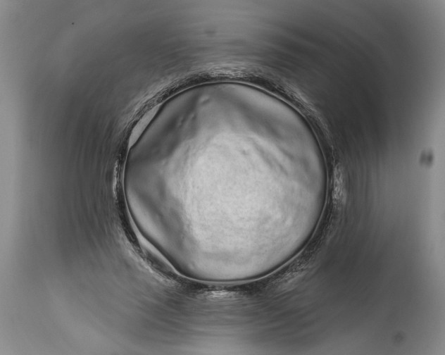 X0000114200637200910231344