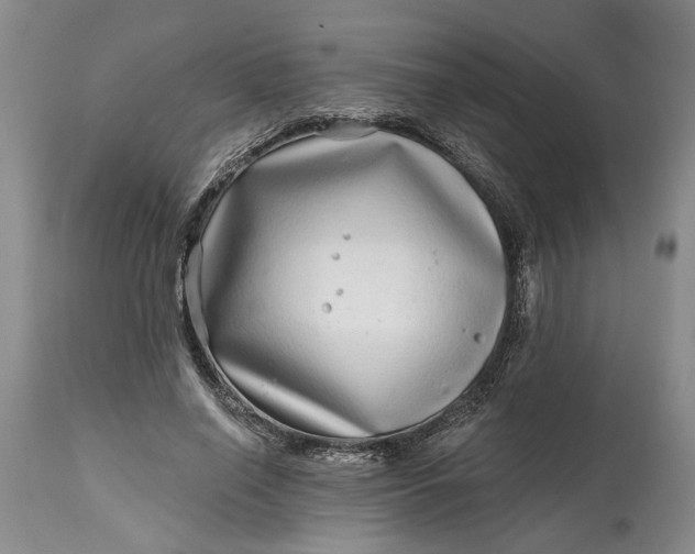 X0000114200638200910231344