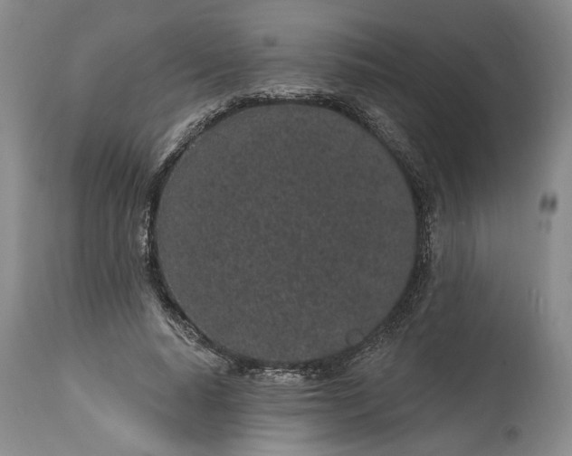 X0000114200640200910231344