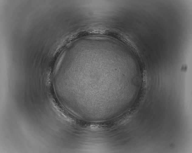 X0000114200641200910231344