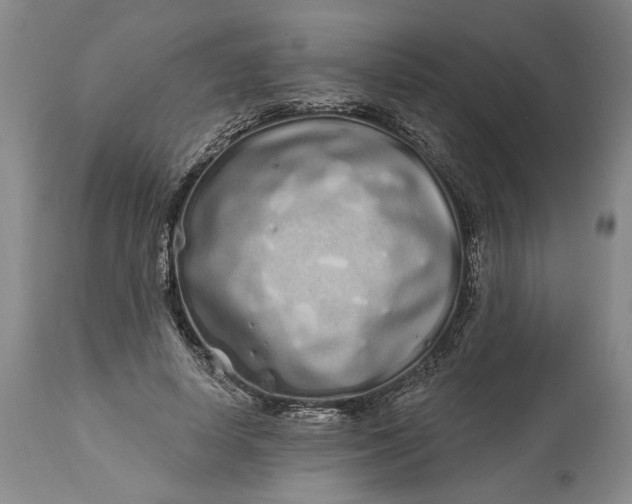 X0000114200642200910231344