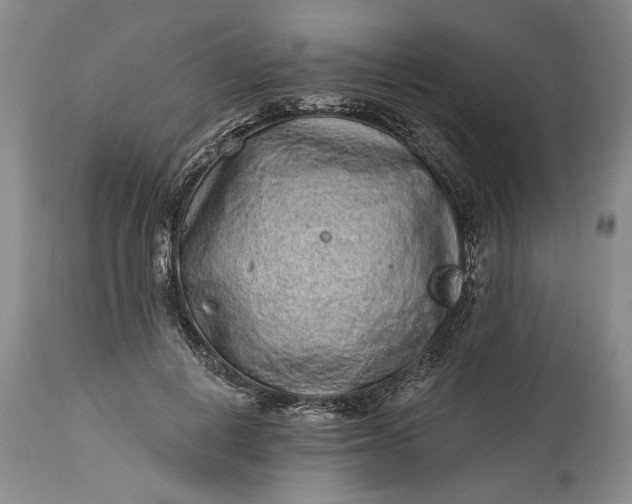 X0000114200648200910231344