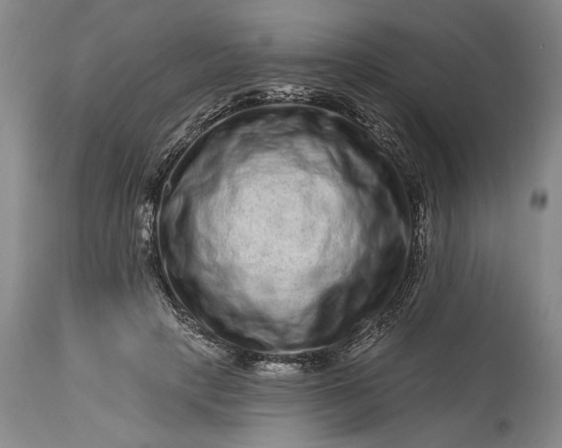 X0000114200649200910231344