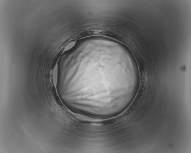 X0000114200650200910231344